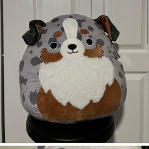 NWT Raylor Squishmallow!